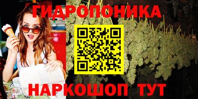 тгк Пушкино