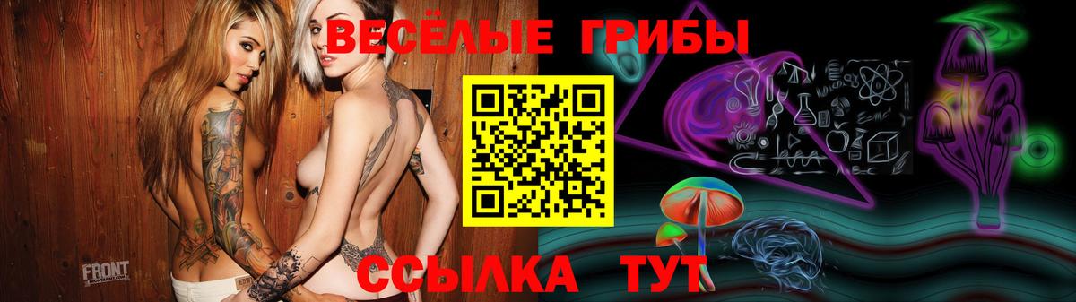 Новосибирск  Галлюциногенные грибы MAGIC MUSHROOMS  Вход с VPN 
